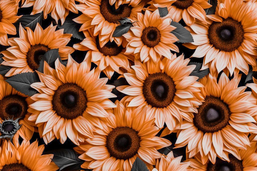 Consapevolezza Ambientale