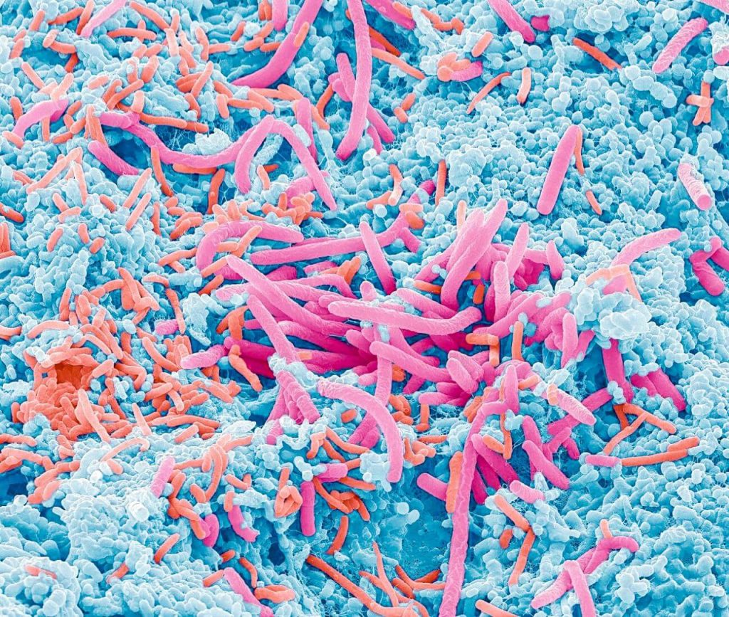 libri per mangiare sano