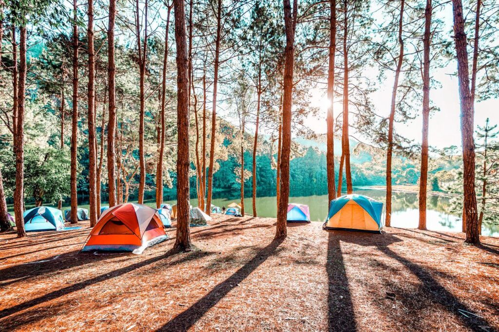 accessori viaggio eco-friendly