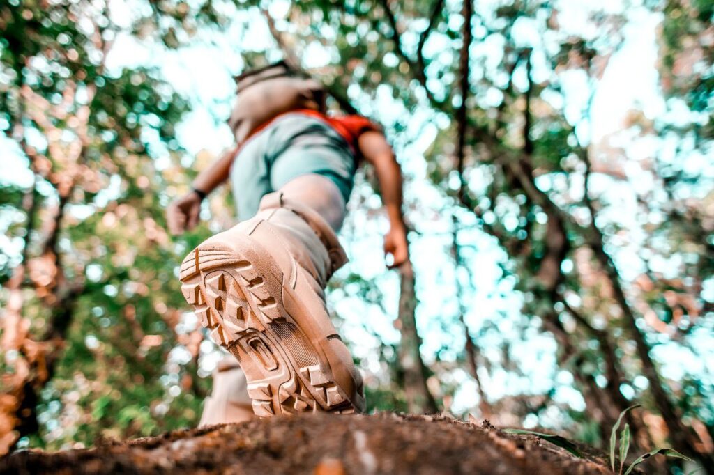 mete green del nord italia