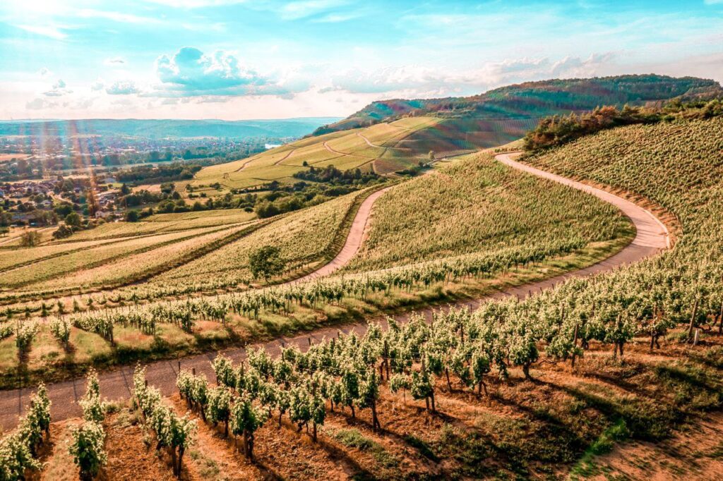 mete green del nord italia 