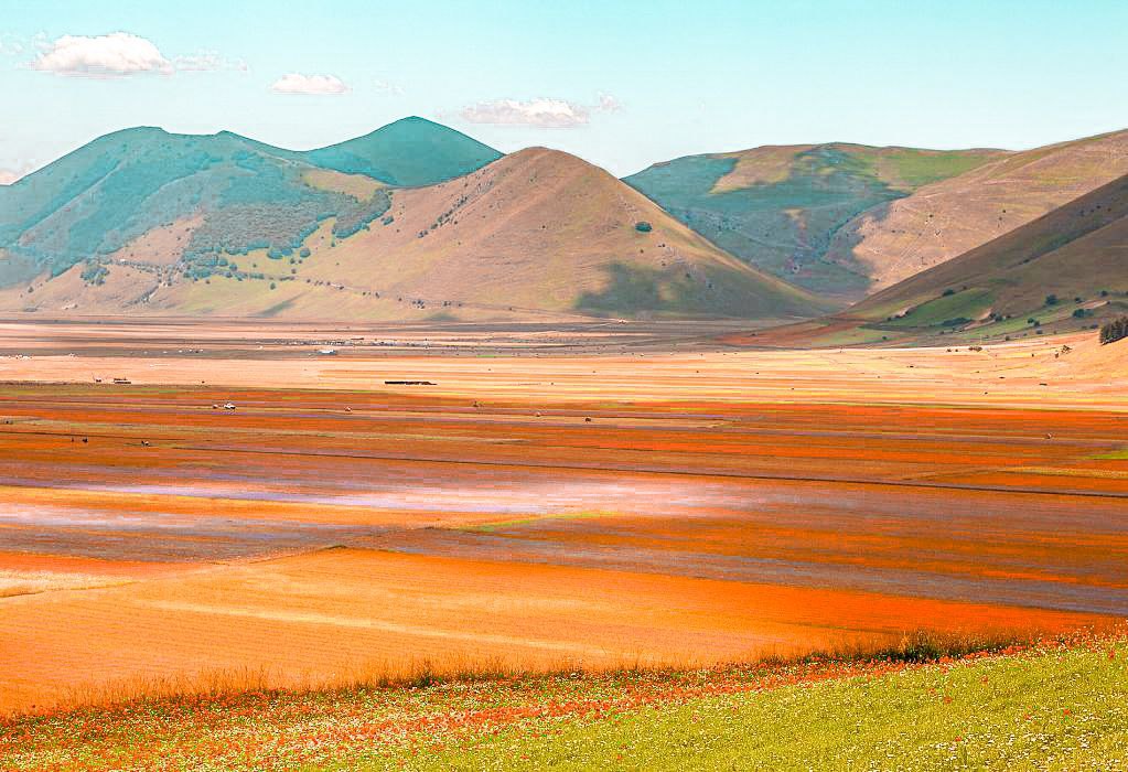 mete green del centro italia