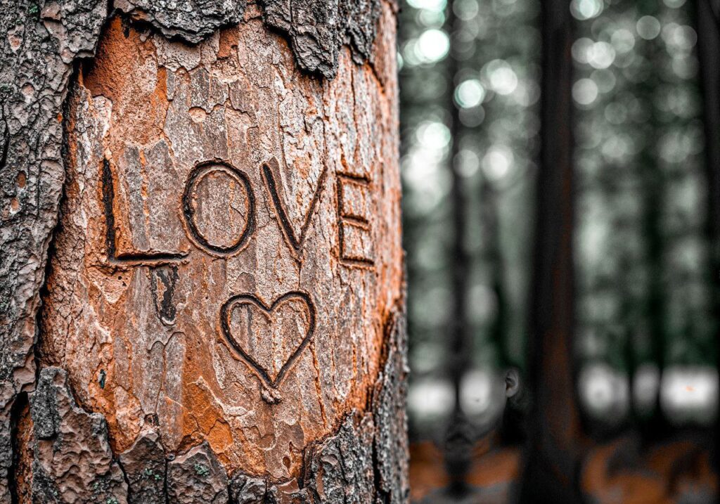 ridurre l’impatto ambientale