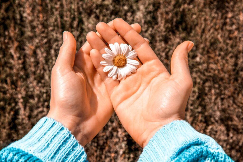 potere della gratitudine